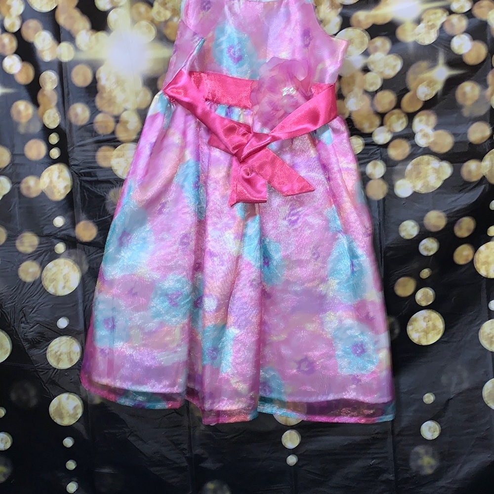 This is a Holiday Edition size 4/5 dress great condition